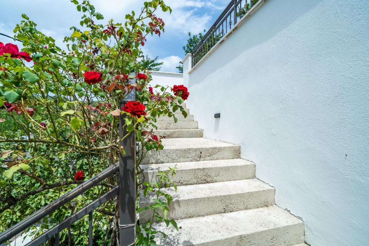 Hidden Gem Apartment Molunat Bagian luar foto